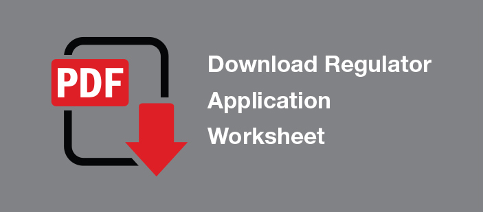 Regulator Application Worksheet PDF Download Graphic